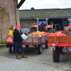 SAS doet goede zaken tijdens appelactie