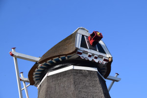 'Hoge boom vangt te veel wind voor molen'