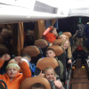 Veel kindervreugd tijdens jaarlijkse zwemuitje