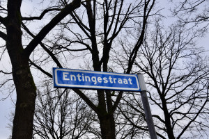 Straat in beeld: Entingestraat