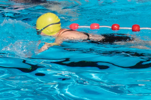 Vijftigste zwemseizoen van start in Bosbad