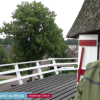 Lindeboom vormt groeiend probleem voor molen