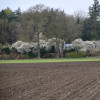 Monumentadoptie Noord-Sleen