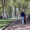 Koningsdag Sleen