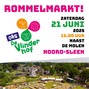 Rommelmarkt in Noord-Sleen op 21 juni