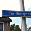 Straat in beeld: Ter Borghstraat