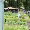 Open dag bij Tuinderij De Kiem goed bezocht