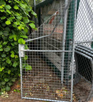 Vandalisme en diefstal bij TV Sleen