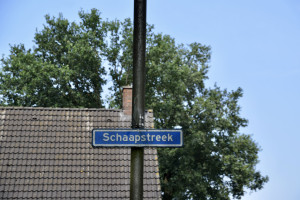 Straat in beeld: Schaapstreek