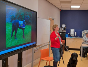 Lezing in Sleen over blindengeleidehonden
