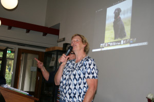 Publiek onder de indruk van blindengeleidehond