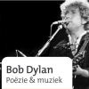Muzikale lezing Bob Dylan in Sleen