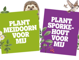 Gratis struiken ophalen op 14 november