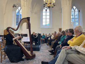 Publiek geniet van Harp in Harmonie concert