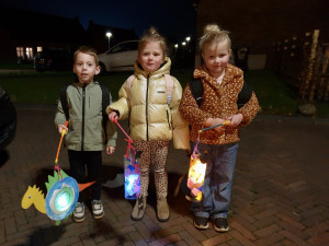 Sint Maarten feest in Sleen