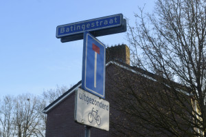 Straat in beeld: Batingestraat