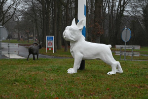 Is Sleen een grote hond rijker?
