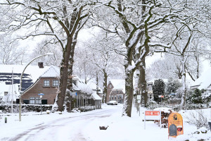 Sleen vanmorgen sprookjesachtig mooi