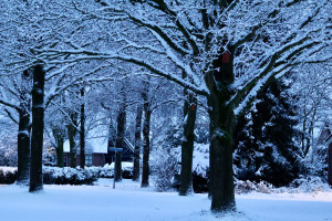 Ingezonden sneeuwfoto's uit Sleen