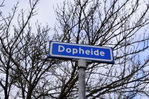 Straat in beeld: Dopheide