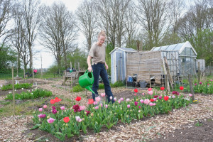 Van hobby tot bloeiende pluktuin: Kadajo