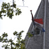Bevrijdingsdag Sleen