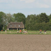 Wandelvierdaagse (vrijdag, slotdag)