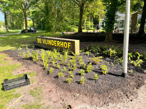 De Vlinderhof in actie voor nieuw schoolplein