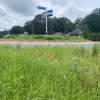 Rotondes rondom Sleen vol met bloemen