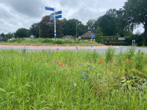 Rotondes rondom Sleen vol met bloemen