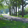 Straat in beeld: Boelkenweg
