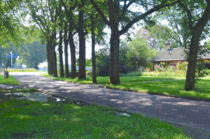 Straat in beeld: Boelkenweg