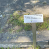 Rechthebbenden graven begraafplaats gezocht