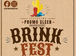 Volop kinderactiviteiten tijdens BrinkFest
