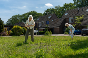 Samen aan de slag in de Anssenstraat