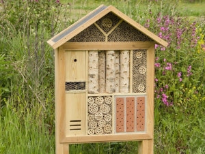 Wie maakt het groenste mini-tuintje?