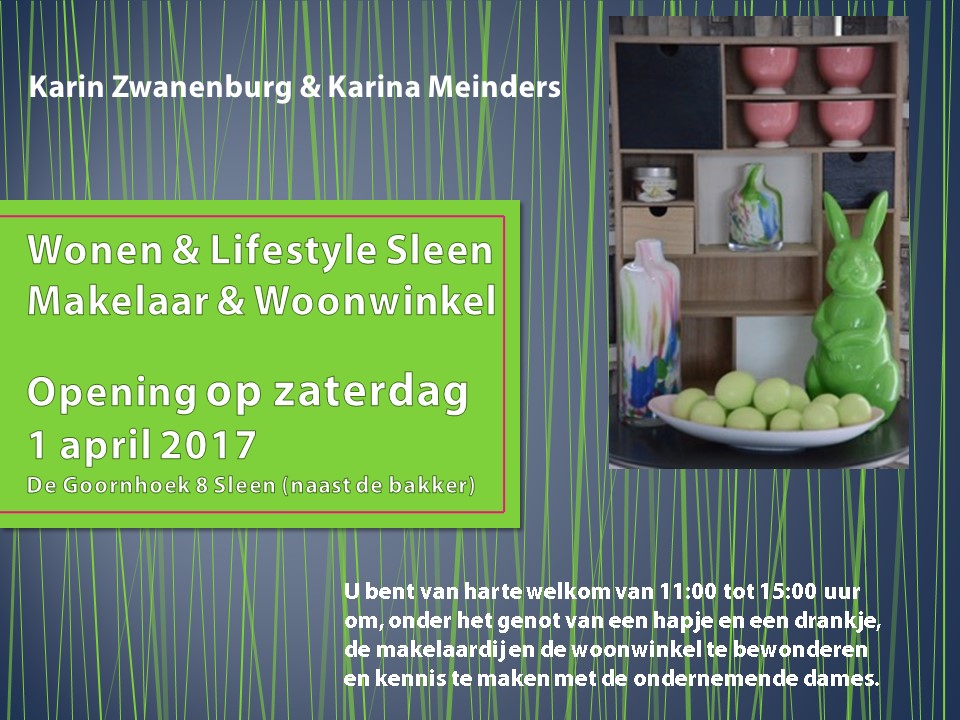 Flyer opening Sleenweb.jpg