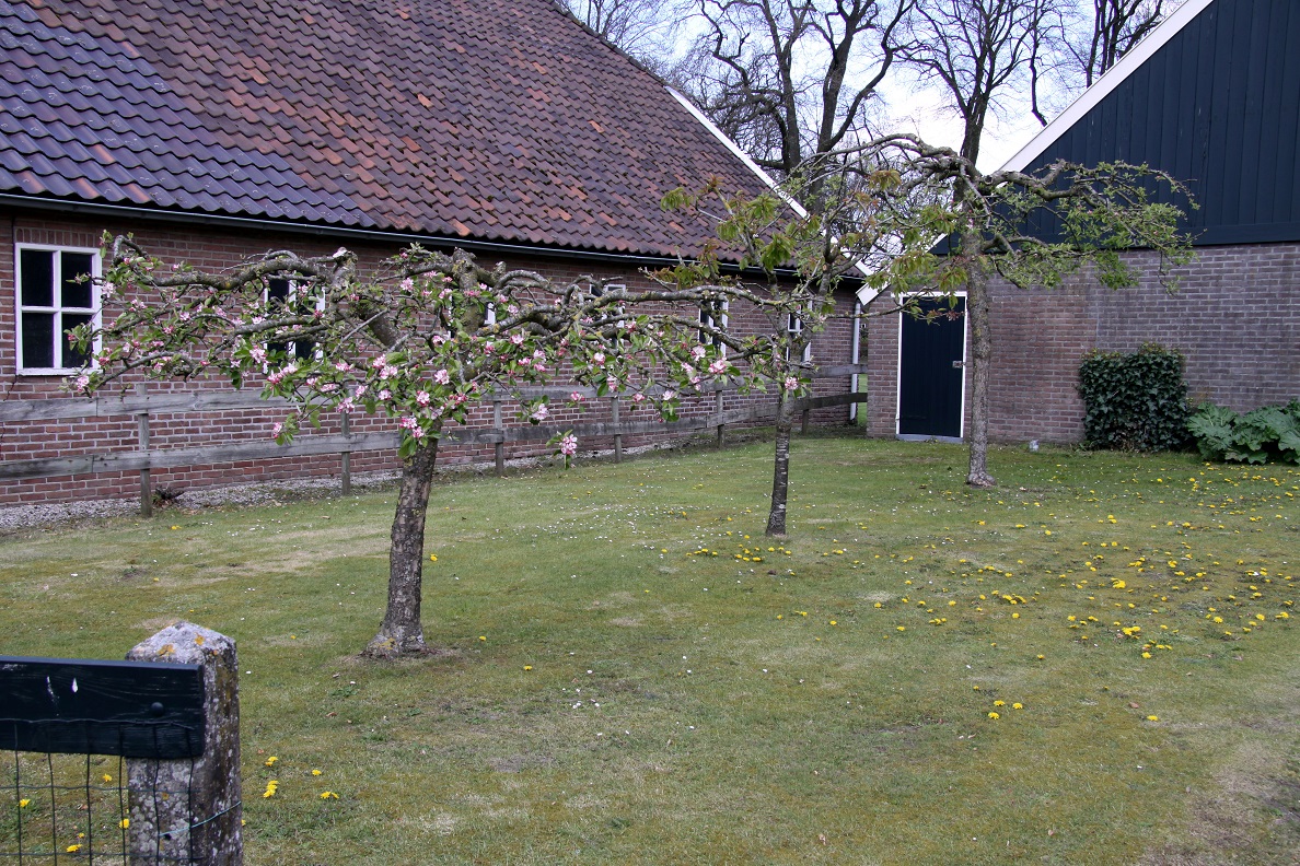 boerenerven 121