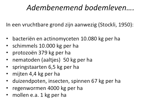 adembenemend.png adembenemend.png