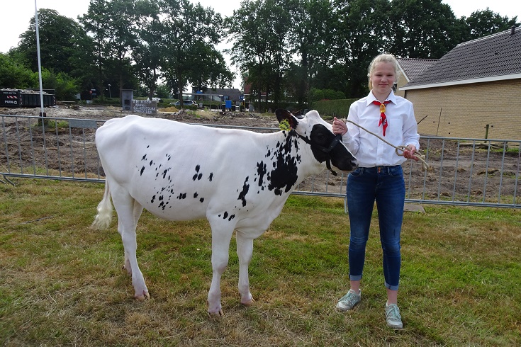Zuidenveld dalen rund 1