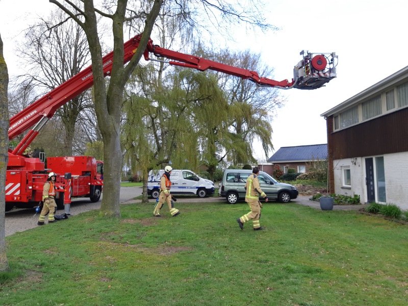 20190413_174206.jpg 20190413_174206.jpg