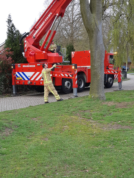 20190413_174331.jpg 20190413_174331.jpg