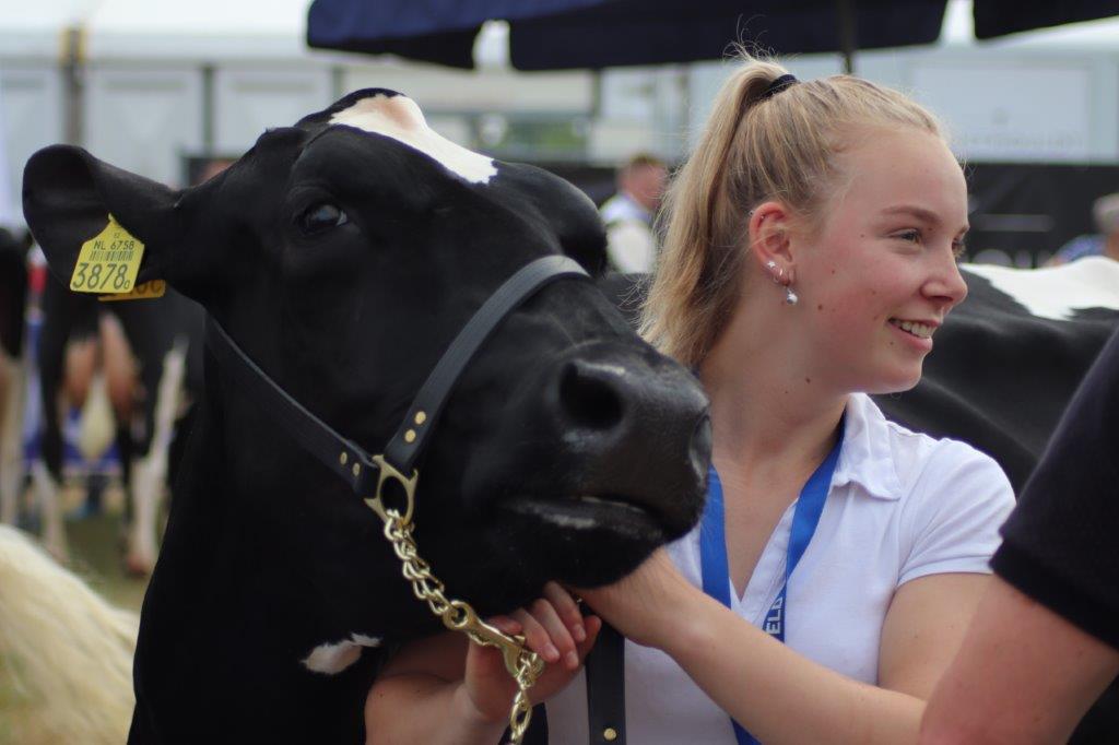 Zuidenveld Zweeloo 2019A