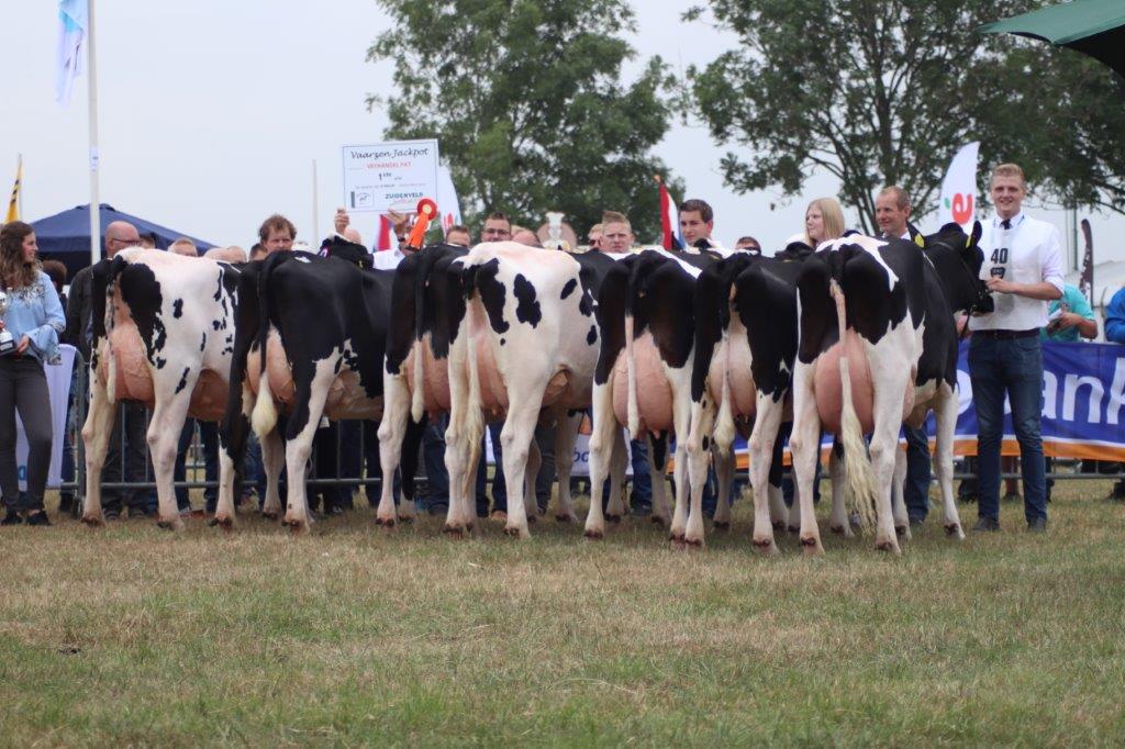 Zuidenveld Zweeloo 2019C