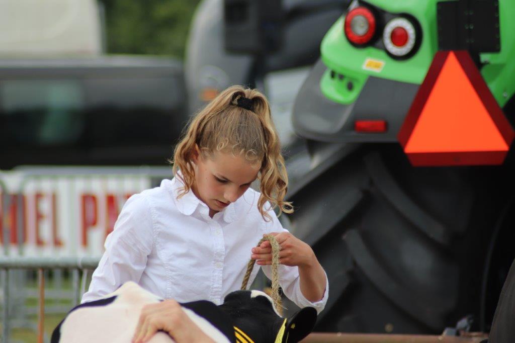 Zuidenveld Zweeloo 2019F