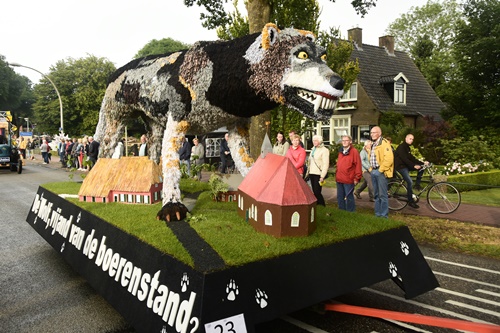 Zuidenveld Zweeloo 2019 Wolf