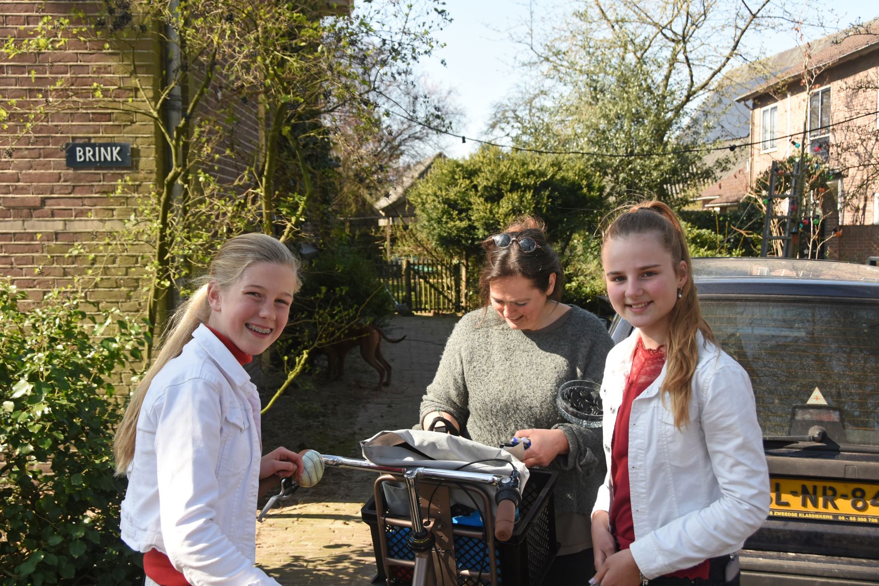 DSC_1994_Kika.jpg DSC_1994_Kika.jpg