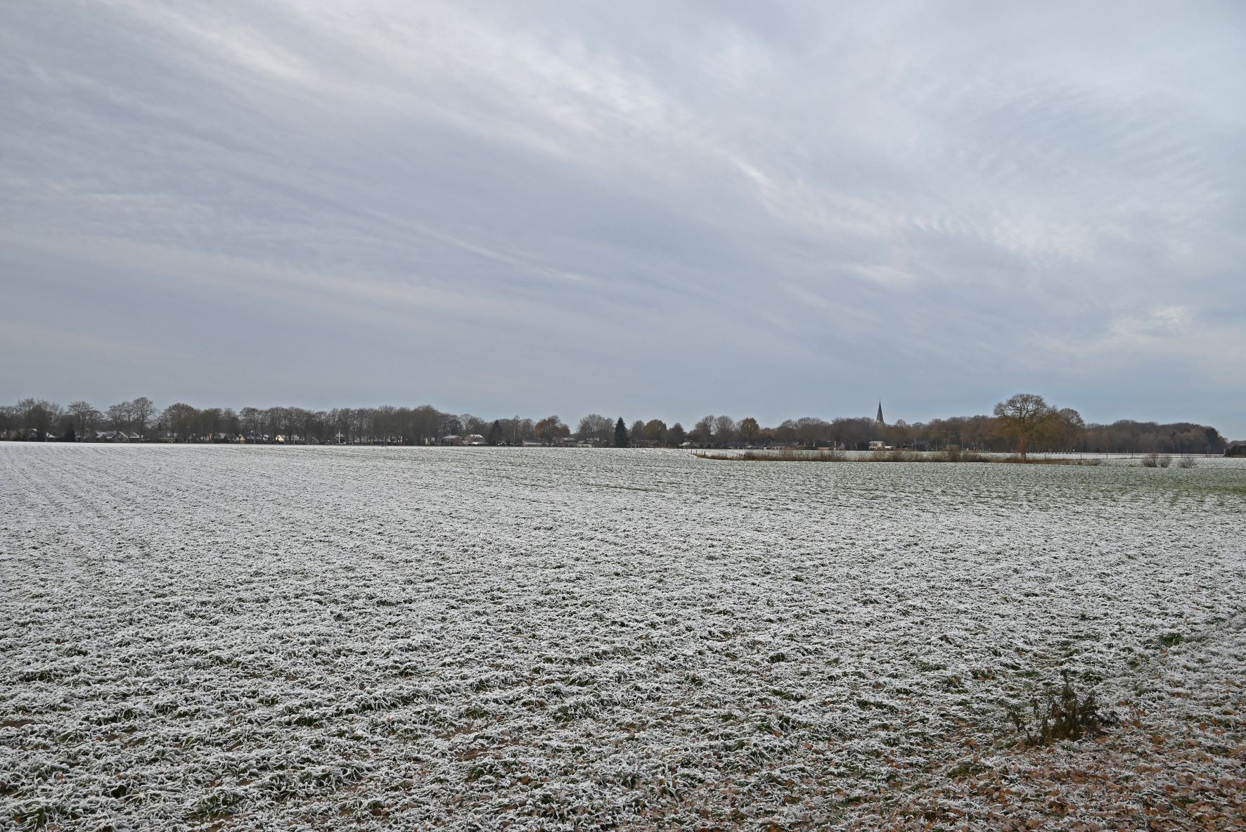 DSC_0860_Winterwandeling.jpg