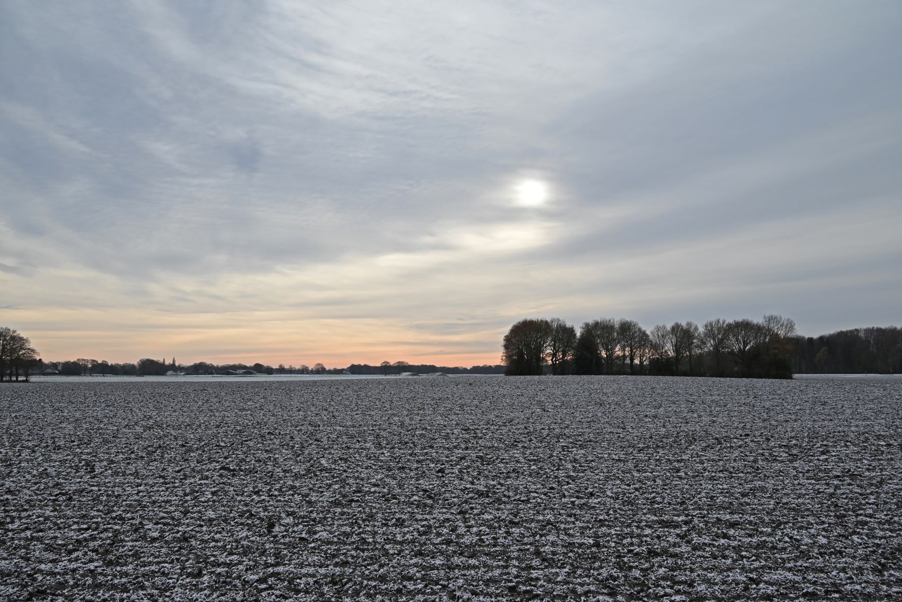 DSC_0861_Winterwandeling.jpg