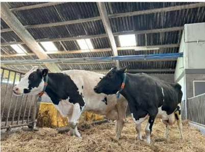 Foto 1 Ellen en Lize.png